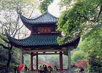 岳麓愛晚亭天氣
