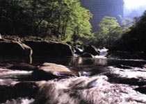 張家界國家森林公園天氣