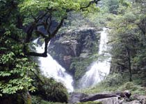 張家界八大公山自然保護區(qū)天氣