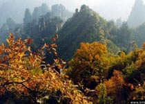 張家界鳳棲山天氣
