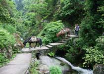 東安舜皇山國家森林公園天氣