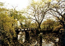 沙坪壩峨嶺公園天氣