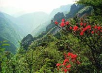 涪陵石夾溝景區(qū)天氣