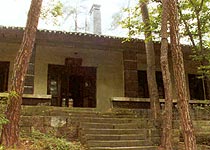 重慶林園天氣