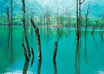 都江堰龍池國家森林公園天氣
