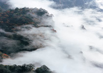 樂山靈巖疊翠天氣