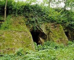 重慶涂井漢墓群天氣