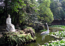 宜賓流杯池公園天氣
