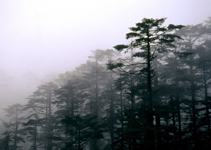 峨眉山瓦屋山國家森林公園天氣