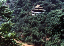樂山璧津樓天氣