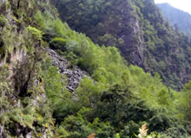 丹巴東谷天然盆景(丹巴美人谷)天氣