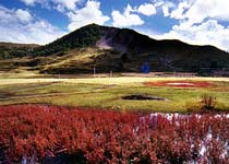 稻城俄初山天氣