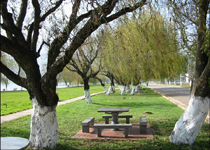 西山海埂公園天氣