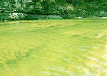 宜良明月湖景區(qū)天氣