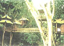 景洪曼景蘭旅游一條街天氣