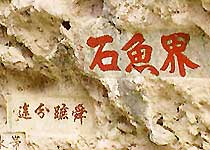 江川界魚石天氣