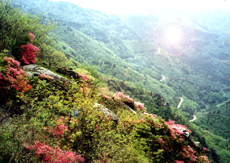 武漢云霧山郊野公園天氣
