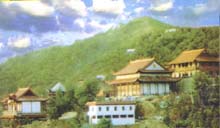 武漢新洲天氣