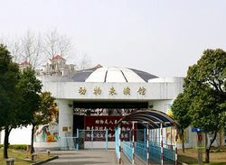 武漢動(dòng)物園天氣