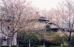 武漢珞珈山天氣
