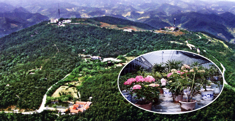十堰市四方山植物園天氣