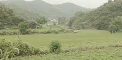 孝感大悟山天氣
