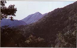 孝感大洪山天氣