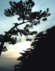 黃石龜山天氣