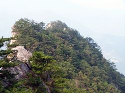 黃岡羅田天堂寨天氣