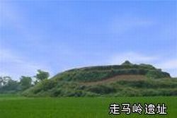 荊州走馬嶺遺址天氣