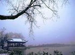荊州三袁故里天氣