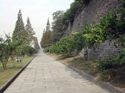 荊州開元觀天氣