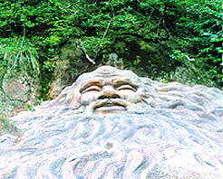 荊州萬壽園天氣