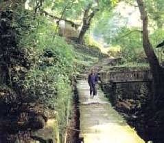 荊州華容古道天氣