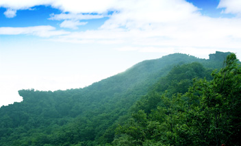 荊門大洪山綠林寨天氣