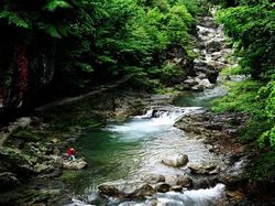 神農架龍門河天氣