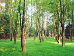 湘潭東臺山國家森林公園天氣