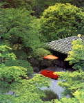 岳陽藥菇山天氣
