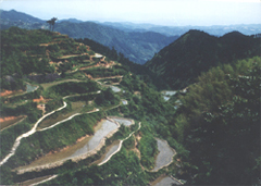 岳陽大云山天氣