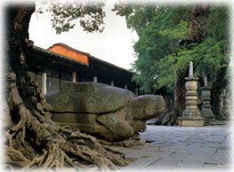 常德天供寺天氣