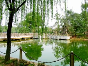 常德濱湖公園天氣