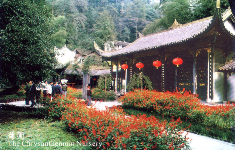 常德桃花源天氣