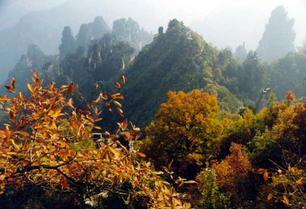 張家界天臺景區(qū)天氣