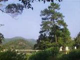 益陽北峰山森林公園天氣