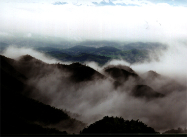 漣源龍山國家森林公園天氣