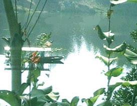 成都怡湖園天氣