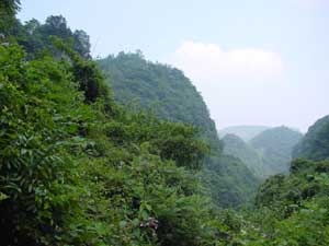 成都白鹿森林公園天氣