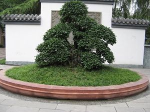 成都百花潭公園天氣