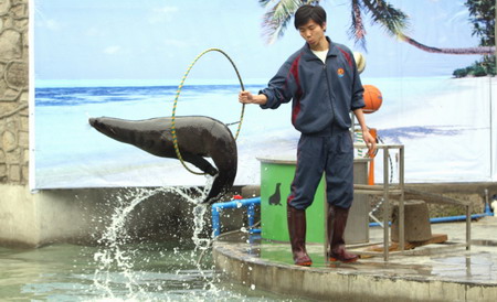 成都動物園天氣