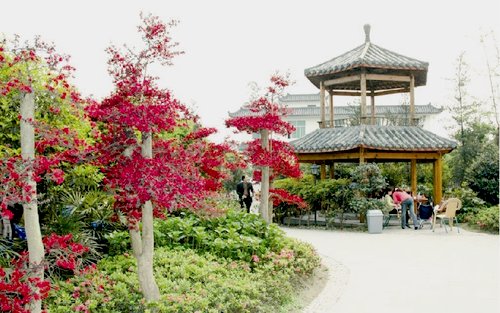 成都郫縣友愛鎮農科村天氣